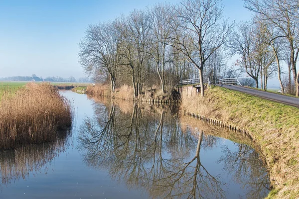 네덜란드 그로닝겐 초원을 통과하는 물줄기에는 나무들 반사되어 — 스톡 사진