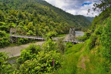 Tauranga Köprüsü, Tauranga ve Opotiki, Doğu Kıyısı, Kuzey Adası, Yeni Zelanda arasında Waioeka Gorge Sahne Koruma Alanı 'ndaki Waioeka Nehri' ni kapsayan bir asma köprü.