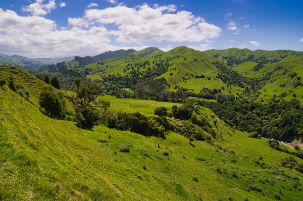 Typische Neuseeländische Landschaft Mit Saftig Grünen Hügeln Und Ackerland Zwischen — Stockfoto