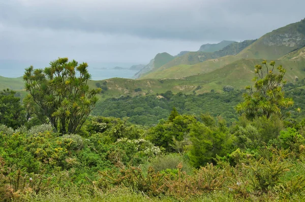 Die Wilde Unberührte Küste Zwischen Gisborne Und Tolaga Bay Ostküste — Stockfoto