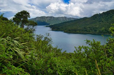 Waikaremoana Gölü, Waikaremoana Gölü Büyük Yürüyüş, Te Urewera Ulusal Parkı, Kuzey Adası, Yeni Zelanda