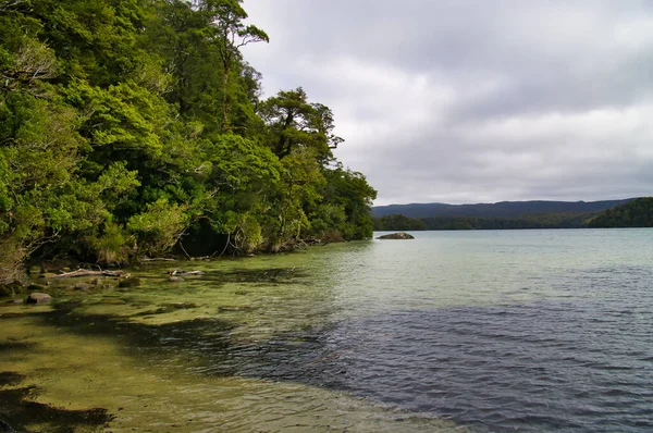 Jezero Waikareiti Hluboko Deštném Pralese Urewera National Park Severní Ostrov — Stock fotografie