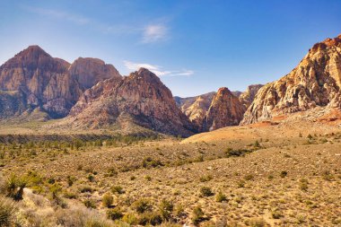 Las Vegas, Nevada yakınlarındaki Red Rock Canyon Ulusal Koruma Alanında Pine Creek Kanyonu. Yükselen kaya oluşumlarıyla çöl manzarası.