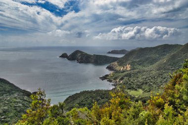 Cape Brett Pisti 'ndeki sahil manzarası, Brett Yarımadası Burnu' nda bir yürüyüş pisti, Kuzey Adası, Yeni Zelanda.