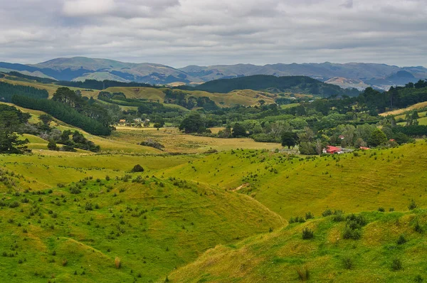 Die Grünen Hügel Mit Wiesen Und Bäumen Der Schaffarm Battle — Stockfoto