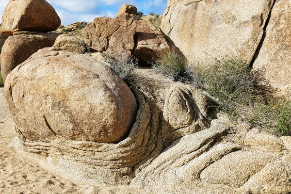 Weathered Granite Rocks Cottonwood Spring Southern Side Joshua Tree National — Stockfoto