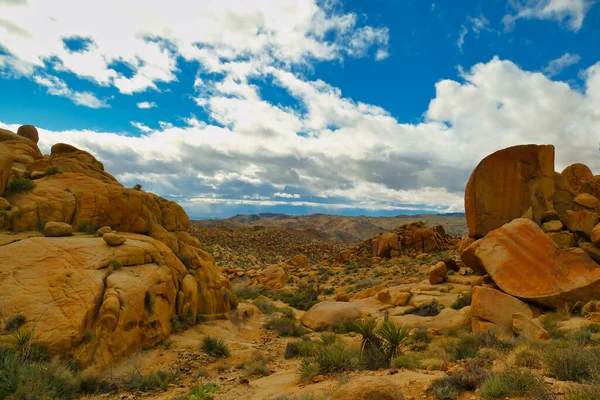 浸食された岩や疎植生と赤と黄色の砂漠の風景 Joshua Tree National Park Mojave Desert カリフォルニア州 アメリカ — ストック写真