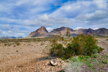 Vahşi Bahar Vahşi Doğa Bölgesi 'nin çöl manzarası, Havasu ve Oatman arasındaki eski Route 66 boyunca, Arizona, ABD