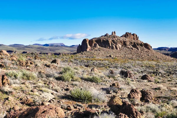米国アリゾナ州キングマン近郊のモハベ砂漠のモハベ ガーデン トレイルに沿った高度に浸食された岩の形成 — ストック写真