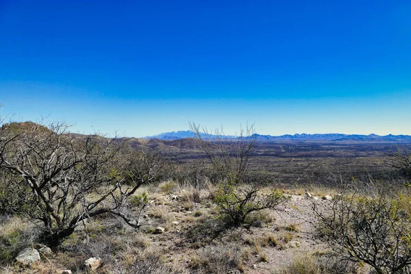 位于美国亚利桑那州墨西哥边境阿里瓦卡和诺加莱斯之间的干旱的索诺兰沙漠 — 图库照片