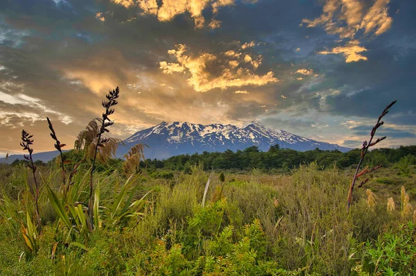 Pokryta Śniegiem Góra Ruapehu Najwyższy Wulkan Nowej Zelandii Pod Dramatycznym — Zdjęcie stockowe