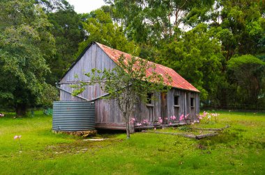 Scotts Hut, Avustralya, Yeni Güney Galler 'in güneydoğusundaki Bournda Ulusal Parkı ormanında terk edilmiş eski bir ahşap öncü ev.