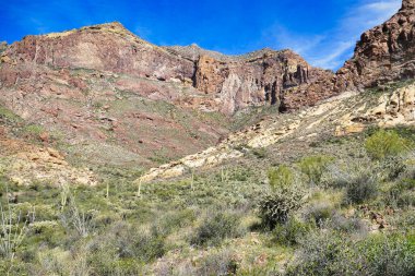 Ajo Dağları 'ndaki Boğa Pastası' na tırmanış boyunca etkileyici bir dağ manzarası, Organ Borusu Kaktüsü Ulusal Anıtı, Güney Arizona, ABD 