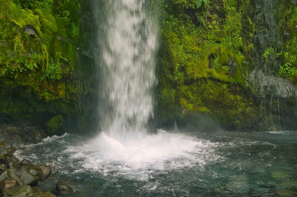 Водоспад Несамовито Занурюється Басейн Уздовж Вкритого Мохом Скелі Dawson Falls — стокове фото