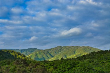 Yoğun yağmur ormanlarıyla kaplı dik tepeler güneşte parlıyor. Tararua Orman Parkı, Kapiti Sahili Bölgesi, Kuzey Adası, Yeni Zelanda.