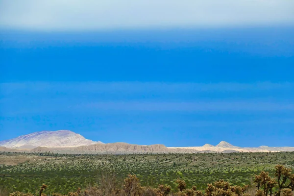 Carrizo Badlandsから白いVallecito山脈 Anza Borrego Desert State Parkの南側 カリフォルニア州 米国を一望できます 冬の雨の後の緑の砂漠 — ストック写真