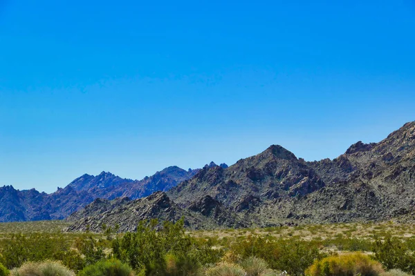 美国加利福尼亚州圣贝纳迪诺县 二十九棕榈高速公路沿线荒芜的岩石山脉和绿色春天植被的沙漠景观 — 图库照片