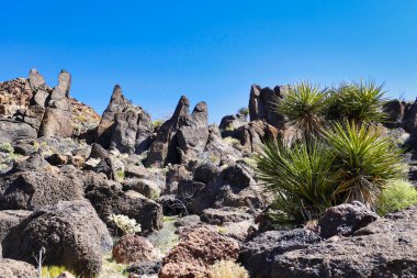 Providence Dağları 'ndaki erimiş volkanik kaya manzarası, Delik-in-the-Wall, Mojave National Preserve, Kaliforniya, ABD