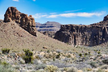 Mojave Çölü 'nde, Mojave Ulusal Koruması, Providence Dağları, Kaliforniya, ABD' ye yakın, Mojave Çölü 'nde yüksek kayalıklar ve dev yamaçlar.