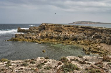 Elliston, Eyre Yarımadası yakınlarındaki engebeli, taşlı sahil, Güney Avustralya Bulutlu bir yaz gününde