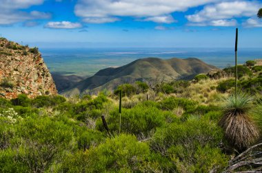 View from Dutchmans Stern, at the south end of the Flinders Range in South Australia. Low shrubs, grass trees, barren hills and in the distance the flat country between the coast and the outback