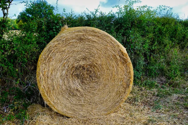 Hay Bale Background Green Shrubbery — Stock Photo, Image