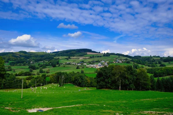 Collines Verdoyantes Prairies Bordées Haies Village Dans Morvan Bourgogne France — Photo