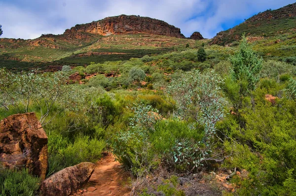 Paesaggio Piedi Della Wilpena Pound Nel Flinders Ranges National Park — Foto Stock