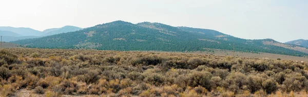 Naturutsikt Över Landskapet Västra Usa — Stockfoto