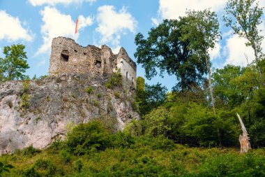 Trees, ruins and landscapes in the Sparbach Nature Park an Austria's oldest nature park