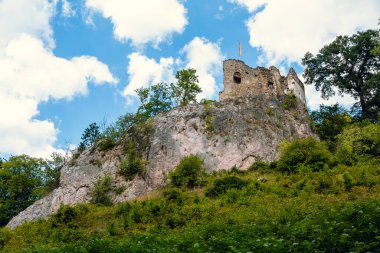 Trees, ruins and landscapes in the Sparbach Nature Park an Austria's oldest nature park