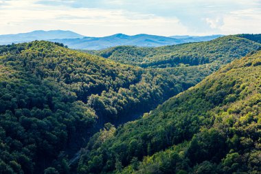 Trees, ruins and landscapes in the Sparbach Nature Park an Austria's oldest nature park