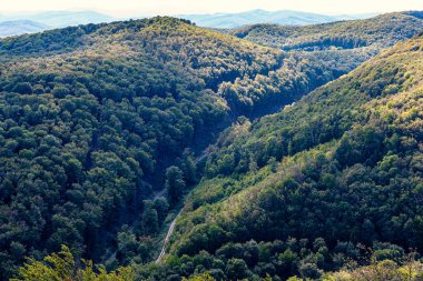 Trees, ruins and landscapes in the Sparbach Nature Park an Austria's oldest nature park