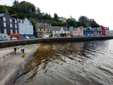 Birleşik Krallık, Mull ve Iona Adaları - 8 Eylül 2019: Bulutlu havada adalarda canlı stil ve mimarinin gelişigüzel fotoğrafları