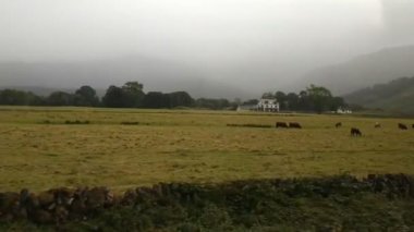 İngiltere, Mull ve Iona Adaları - 8 Eylül 2019: Bulutlu havada adalarda canlı stil ve mimarinin gelişigüzel fotoğrafları