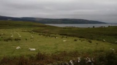 İngiltere, Mull ve Iona Adaları - 8 Eylül 2019: Bulutlu havada adalarda canlı stil ve mimarinin gelişigüzel fotoğrafları