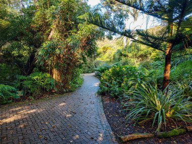 İngiltere 'nin Cornwall kentindeki Scilly Adaları' nın en büyük ikinci adası olan Tresco Adası 'nın doğası ve manzarası