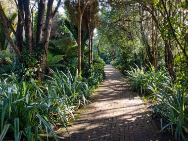İngiltere 'nin Cornwall kentindeki Scilly Adaları' nın en büyük ikinci adası olan Tresco Adası 'nın doğası ve manzarası