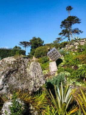 İngiltere 'nin Cornwall kentindeki Scilly Adaları' nın en büyük ikinci adası olan Tresco Adası 'nın doğası ve manzarası