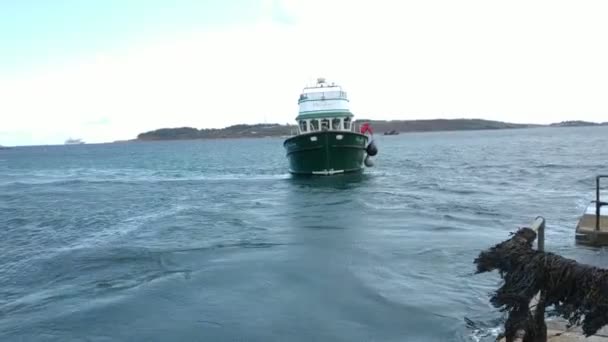 Tresco Øens Natur Landskab Den Næststørste Isles Scilly Cornwall England – Stock-video