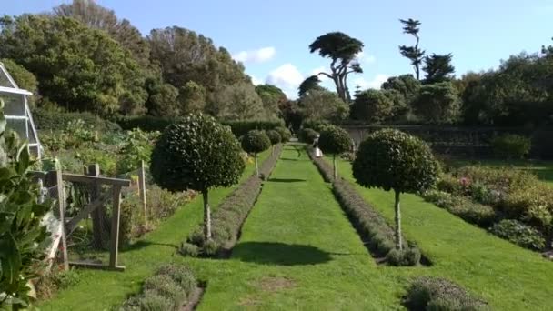 Natureza Paisagem Ilha Tresco Segunda Maior Ilha Das Ilhas Scilly — Vídeo de Stock