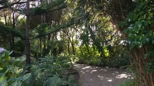 Natureza Paisagem Ilha Tresco Segunda Maior Ilha Das Ilhas Scilly — Vídeo de Stock