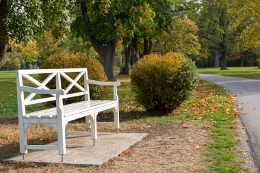 Avusturya 'da sonbaharda Laxenburg park elementleri ve bitkileri, manzara ve mimarisi