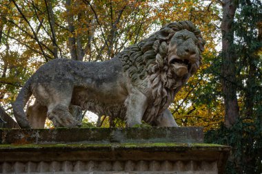 Avusturya 'da sonbaharda Laxenburg park elementleri ve bitkileri, manzara ve mimarisi