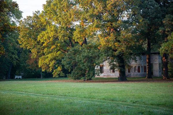 Laxenburg Park Elements Plants Landscape Architecture Autumn Austria Royalty Free Stock Images