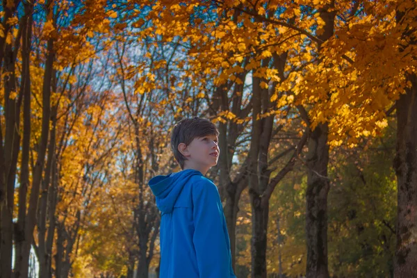Le garçon a l'air de rêver au feuillage et aux arbres d'automne. — Photo
