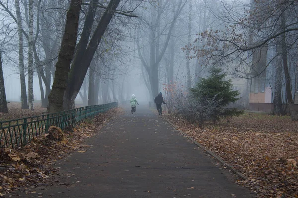 Діти біжать туманною алеєю . — стокове фото