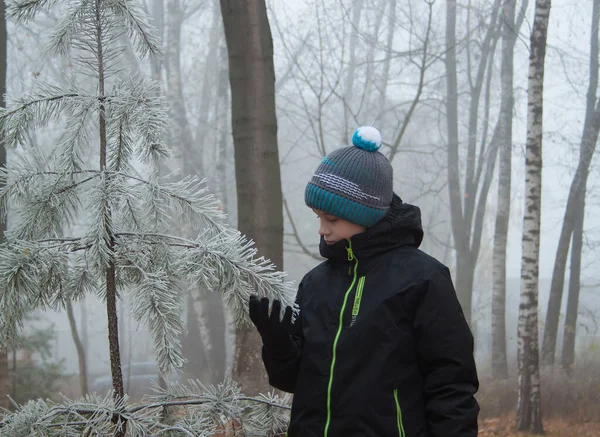 Liten Pojke Vinterpark Den Första Frosten Träd Frost Flickan Tittar — Stockfoto