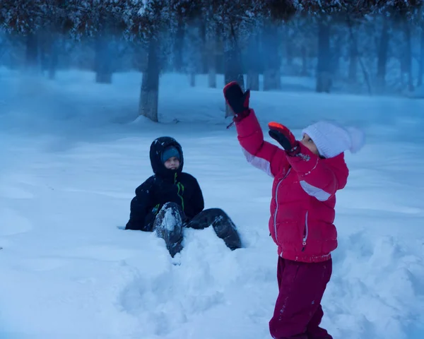 子供たちは雪を枝から振ろうとしている 子供たちは冬に外で遊ぶ 屋外レクリエーション — ストック写真