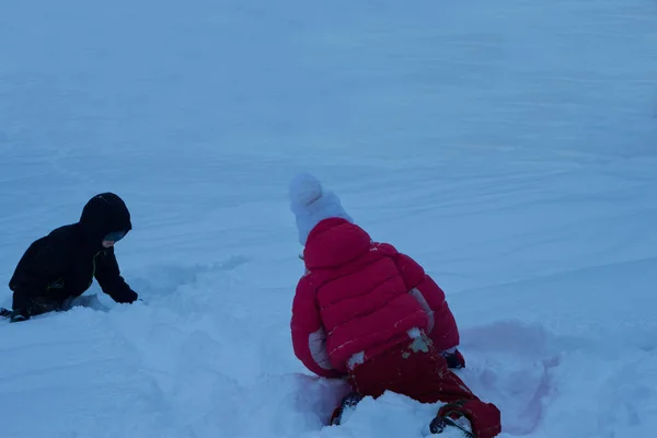 Children Play Snow Children Play Winter Outdoor Recreation — Stockfoto